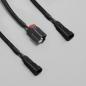 Preview: STEDI Plug & Play Dual Fernlicht-Kabelbaum für DT & DT-P Steckeranschluss
