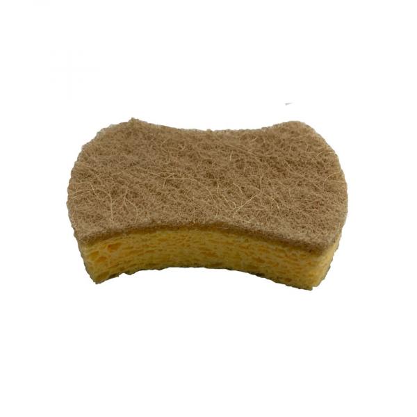 Preview: pandoo Schwämme