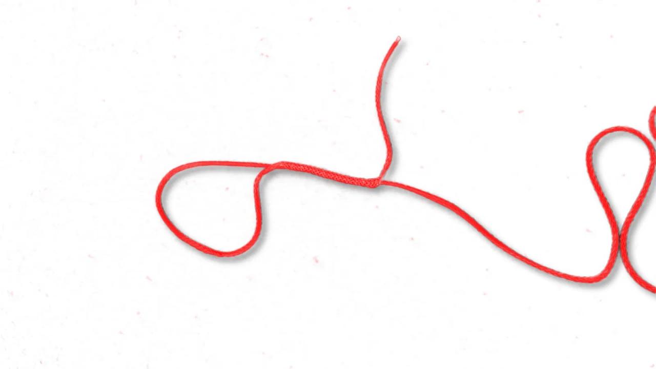 Liros Seilverlängerung TAIO EXT-1 10m x 9,4mm stufenlos einstellbar zwischen 5-10m
